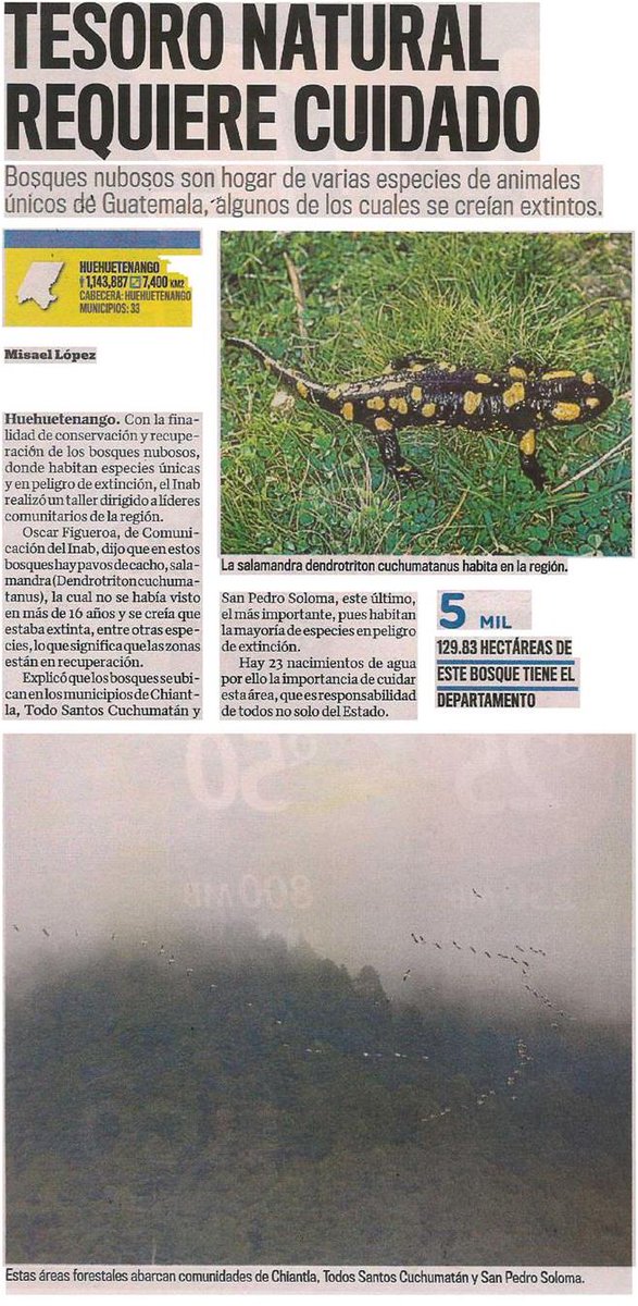 inabguatemala's tweet photo. #INAB recuperando los bosques nubosos en Huehuetenango. Compartimos nota de @NuestroDiario . #INAB más bosques, más vida... https://t.co/E8fNuobbMV