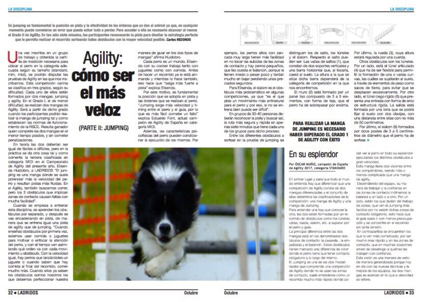 RevistaLADRIDOS tweet picture