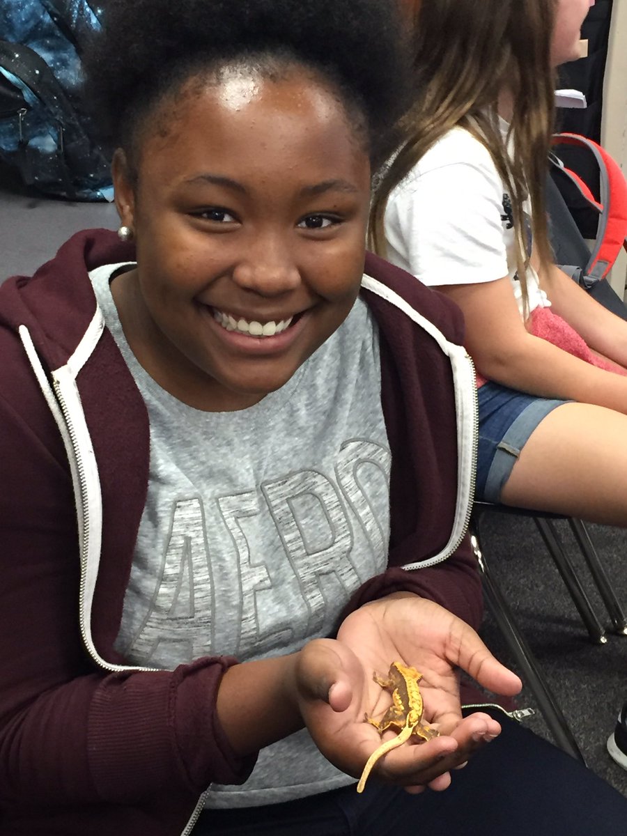 EliseLima7's tweet photo. Turtles and geckos today in CARE Club!! @BuffettMagnet @MrsHaber004 @shannon_sortino @buff_halestorm https://t.co/P8AGTwzagb