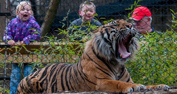 LeasingKC's tweet photo. Fun Things to Do With Kids in Kansas City https://t.co/sqDGxVADUt via @VisitKC
#KCMO #KansasCity #KCexperience https://t.co/Wx3ds4iDQ0