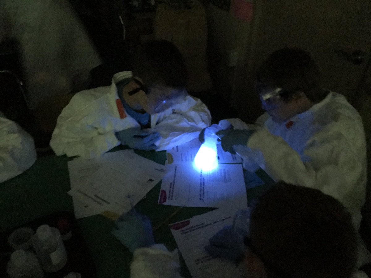 MilliporeSigma's tweet photo. .@MilliporeSigma employee volunteers brought #CuriosityLabs to @StChasCitySch to teach students about chemiluminescence #SPARKCuriosity https://t.co/95pd7i6Fnx