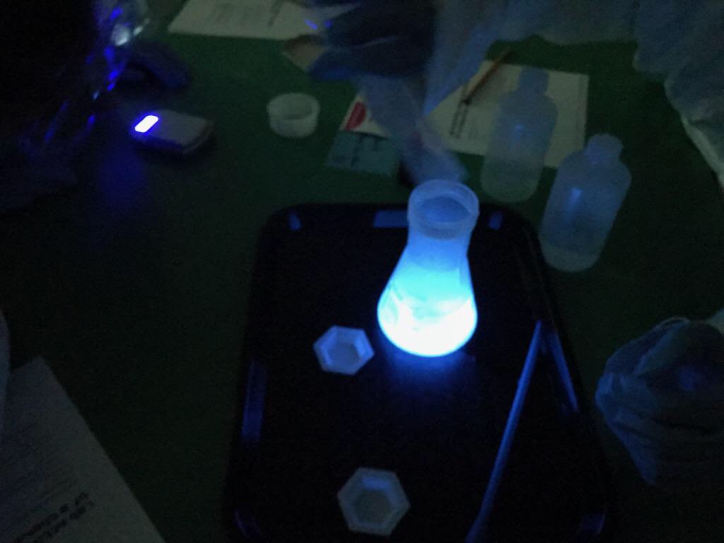 MilliporeSigma's tweet photo. .@MilliporeSigma employee volunteers brought #CuriosityLabs to @StChasCitySch to teach students about chemiluminescence #SPARKCuriosity https://t.co/95pd7i6Fnx