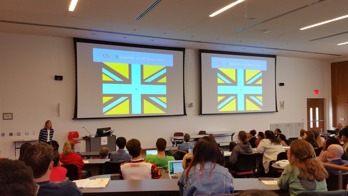 Color, contrast, context, resolution, and optical illusions with Distinguished Scholar-Teacher Dr. Karen Carleton!