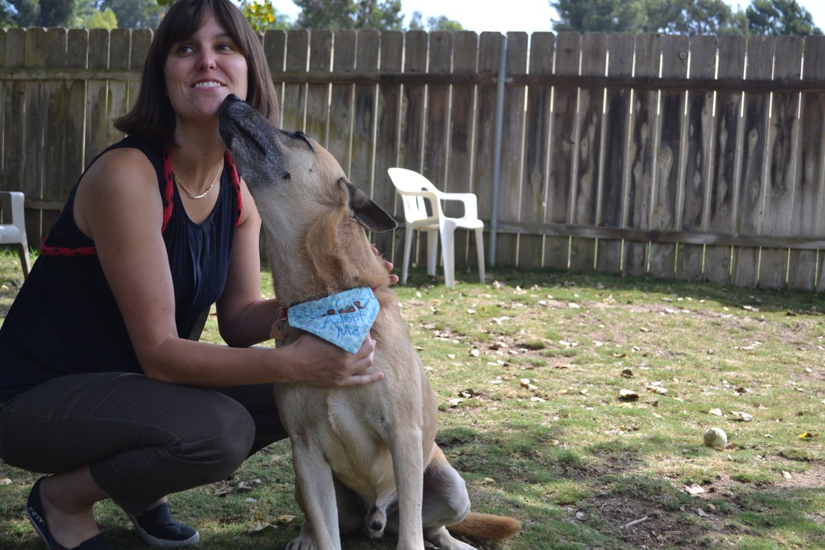 HWAC's tweet photo. Tell us how your adopted dog has changed your life. #IfItWerentForDogs https://t.co/hMkCc81tSE