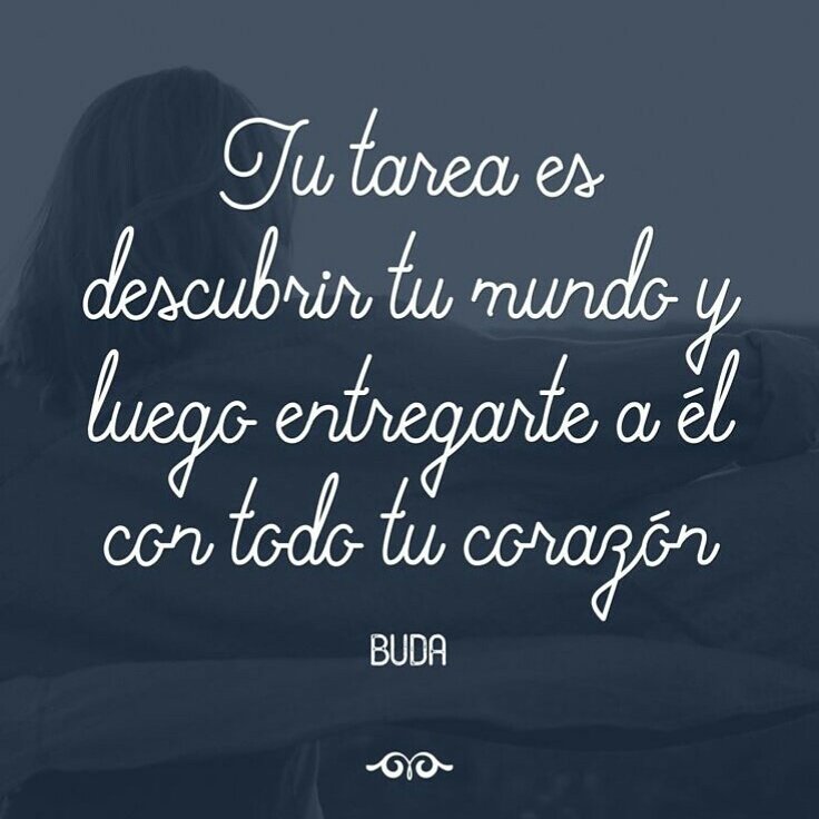 efectobambu's tweet photo. Búsqueda y entrega #EfectoBambú https://t.co/7KUQnBZlBL