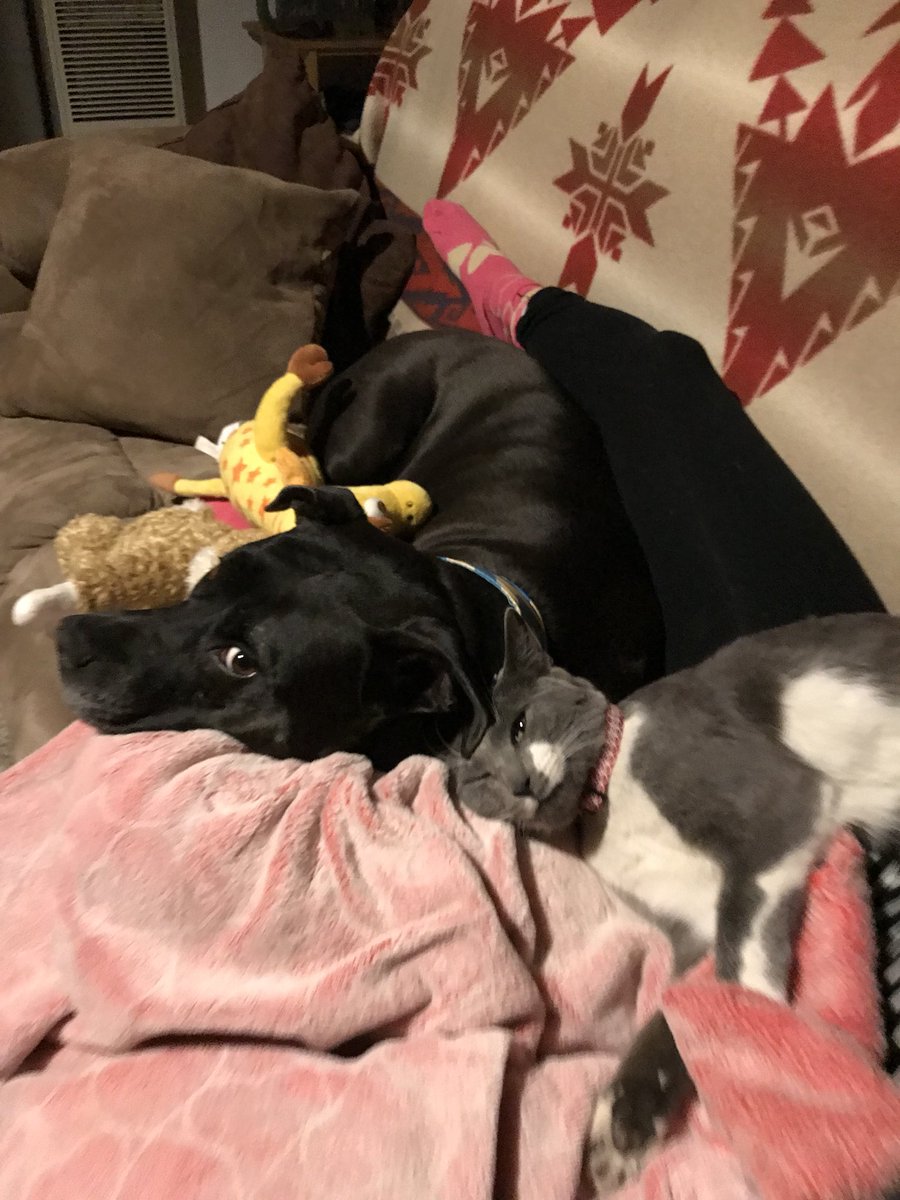 DJamrog's tweet photo. You asleep? Yup, you? Yup. https://t.co/HcauOSnH60