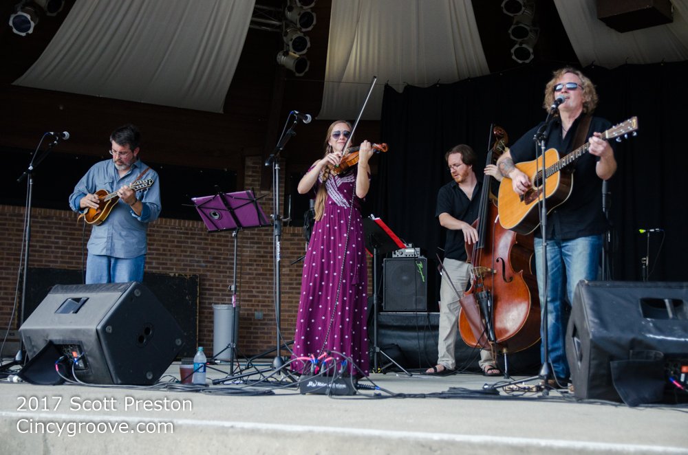 hickory robot tweet media