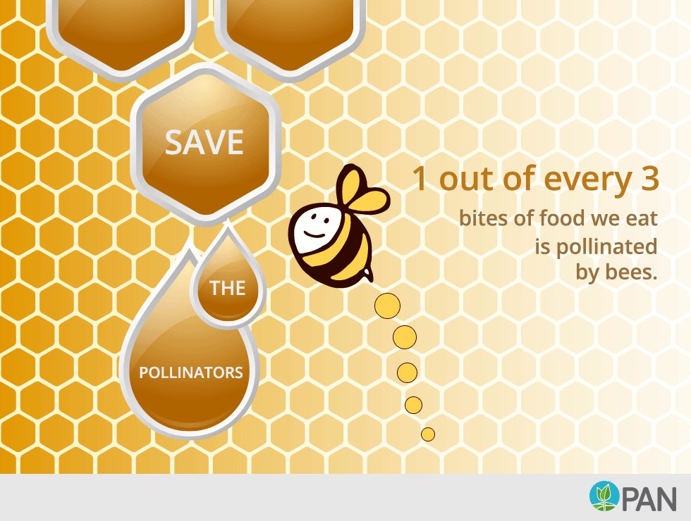 TrashSurfers's tweet photo. 🗣️To🐝or NOT to🐝
#BEE4LIFE #BeeUs #LIFE #Happiness #savethebees #Pesticides #bees #environment #Food #Future #Flowers #colours #hope #GoGreen https://t.co/qWPi4JhkiC