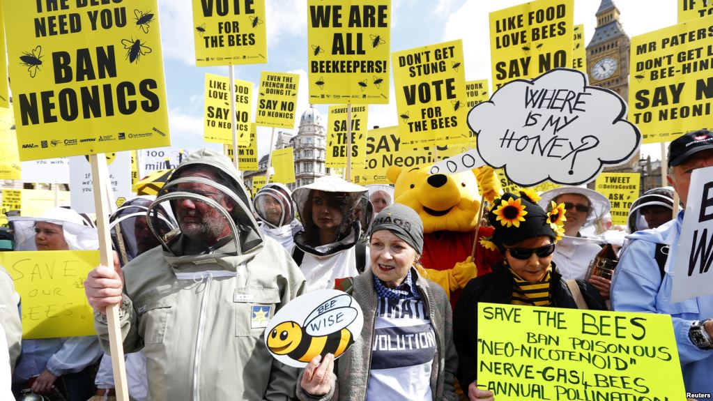 TrashSurfers's tweet photo. 🗣️To🐝or NOT to🐝
#BEE4LIFE #BeeUs #LIFE #Happiness #savethebees #Pesticides #bees #environment #Food #Future #Flowers #colours #hope #GoGreen https://t.co/qWPi4JhkiC