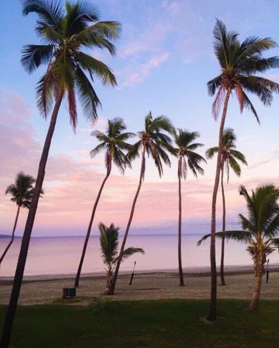 DariusCameron's tweet image. where i'd rather be