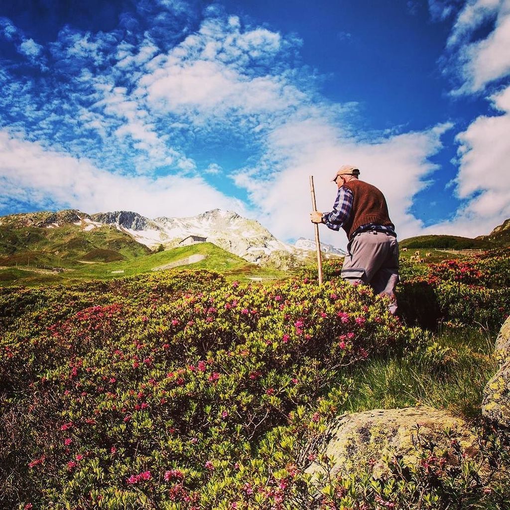 milos_willing's tweet photo. Eine Stunde da oben auf der Alm sitzen, den Geräuschen lauschen, den Berg spüren, sich selbst wieder spüren. Hach, war das schön ... #Viama… https://t.co/449LNRmcTd