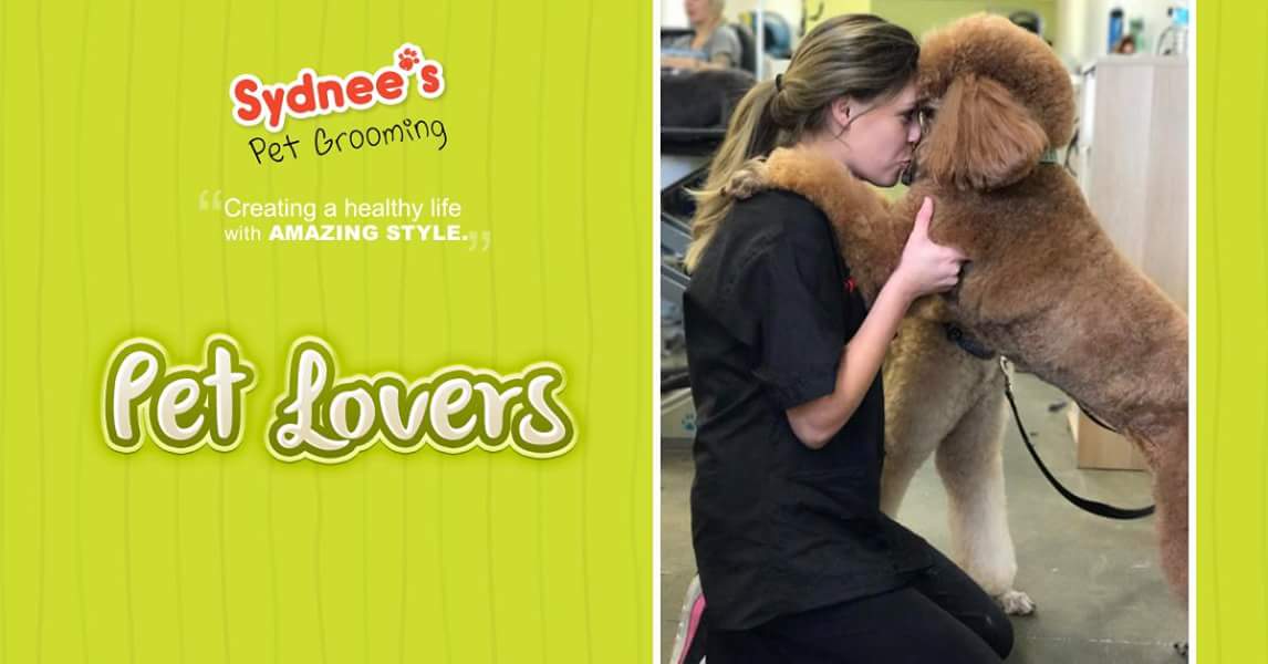Sydnees Pet Grooming (Sydneesgrooming) Twitter