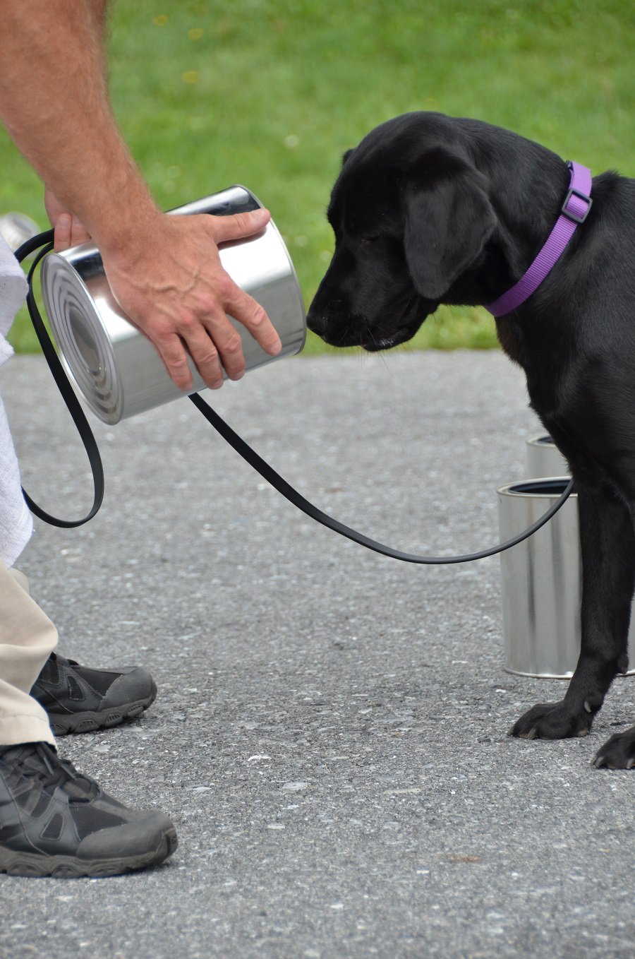 Cia k9 deals