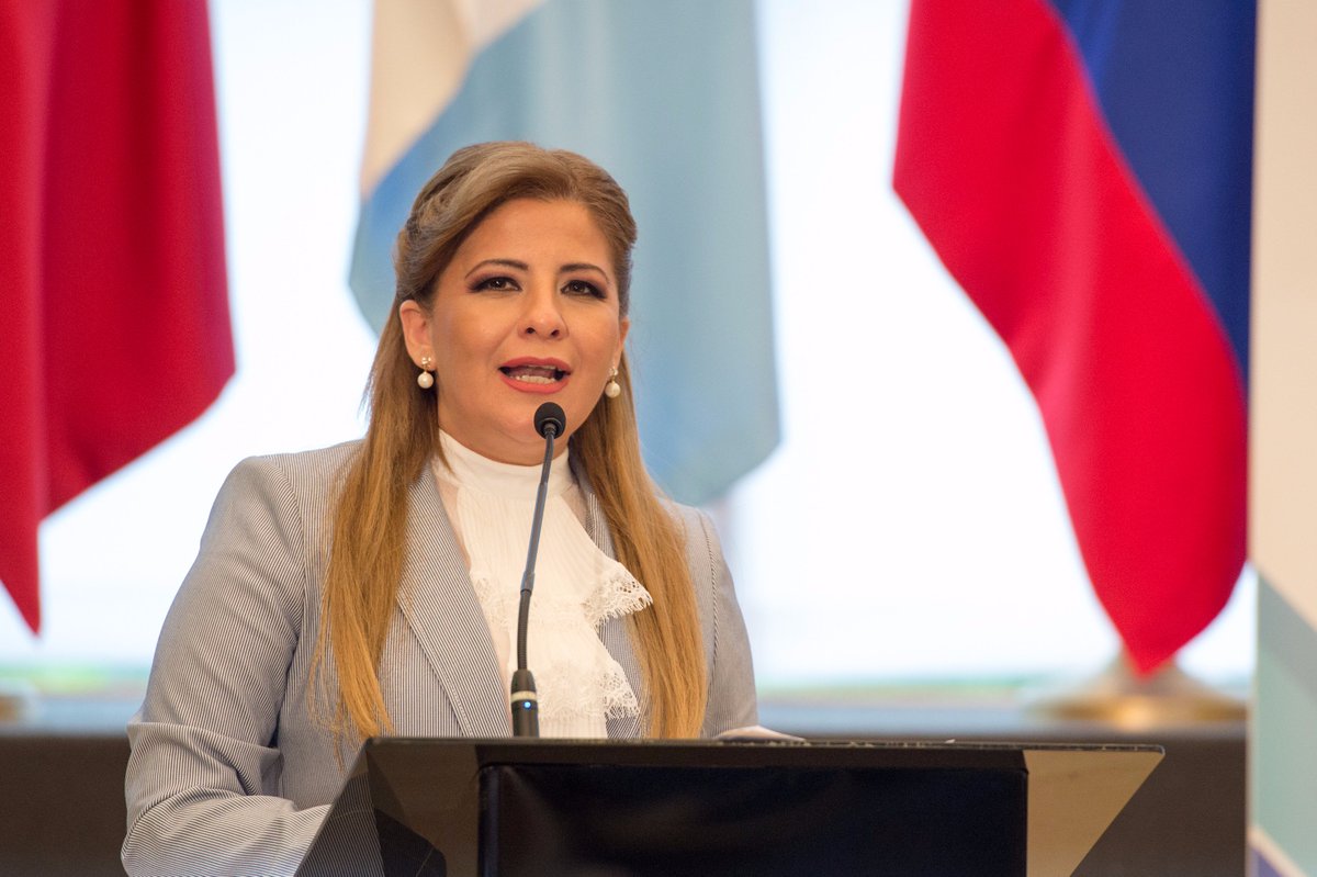 globalembpeace's tweet image. DG GEAP: Happiness is the existential goal of every human; it is up to political leaders to help build it #CUMIPAZ