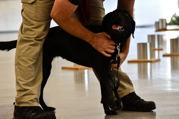 View image on Twitter View image on Twitter