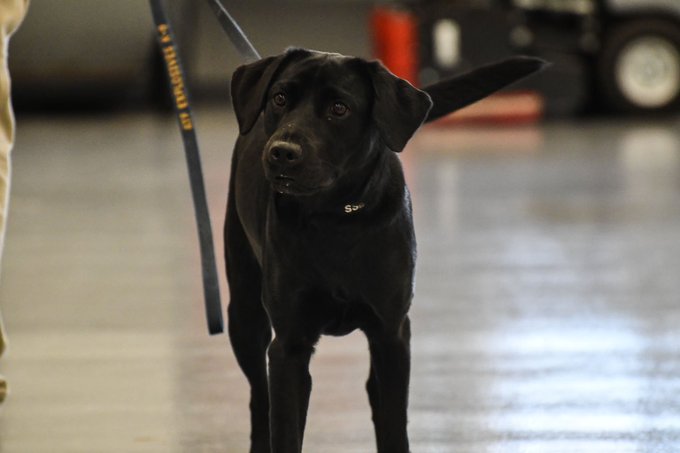 View image on Twitter View image on Twitter