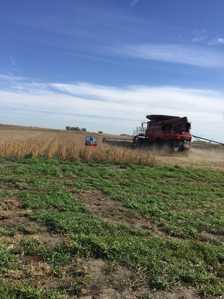 DanielDoster2's tweet photo. Taking out the @BecksHybrids soybean plot. #Glyphosate #RoundupReady2 #RoundupReady2Xtend #LibertyLink https://t.co/6CYaJkzRir