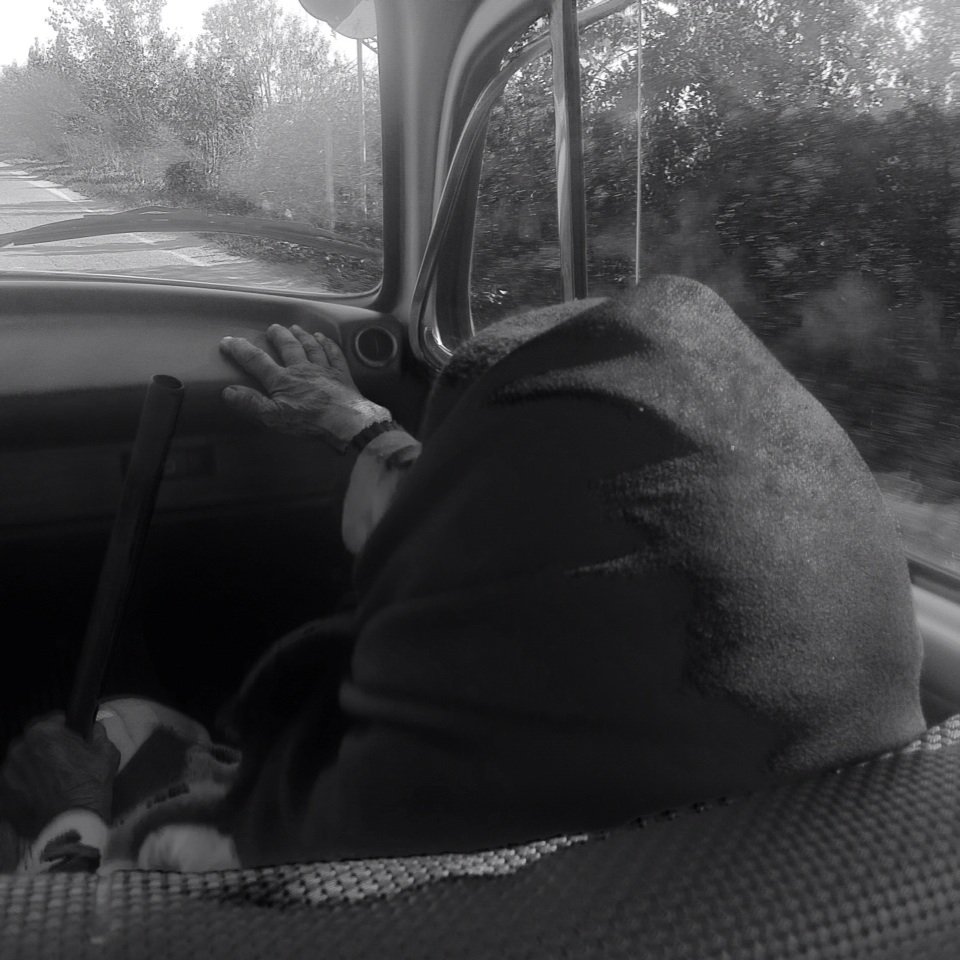 Bagavound's tweet photo. #bagavound@erichweisz Passenger. https://t.co/5Tue30UHrb