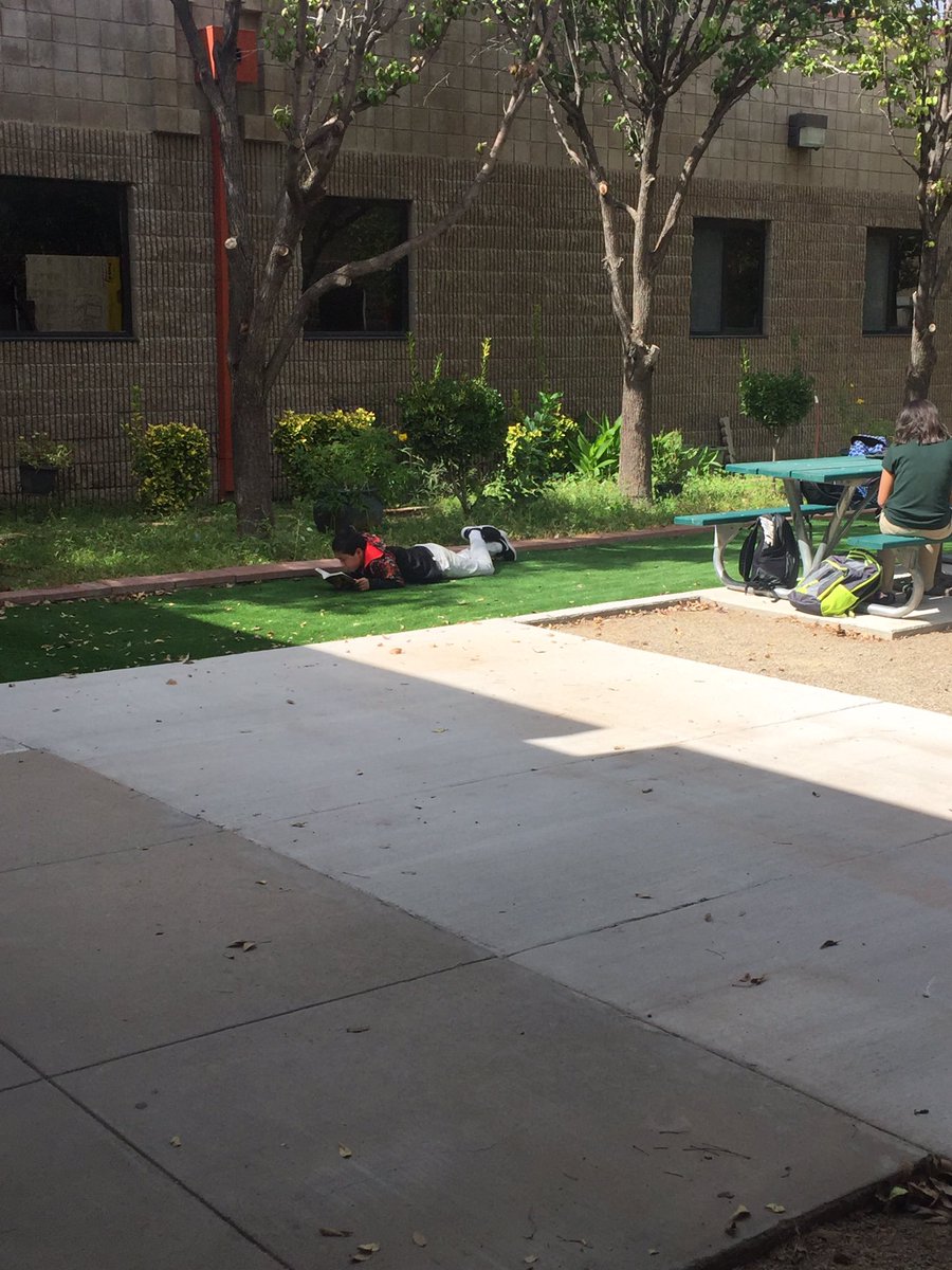 SISD_Herrera's tweet photo. #LibraryInTheSun fosters LOVE ❤️ of reading📚 #TeamSISD #StallionsLeadtheWay https://t.co/sGJbDnF9Ds