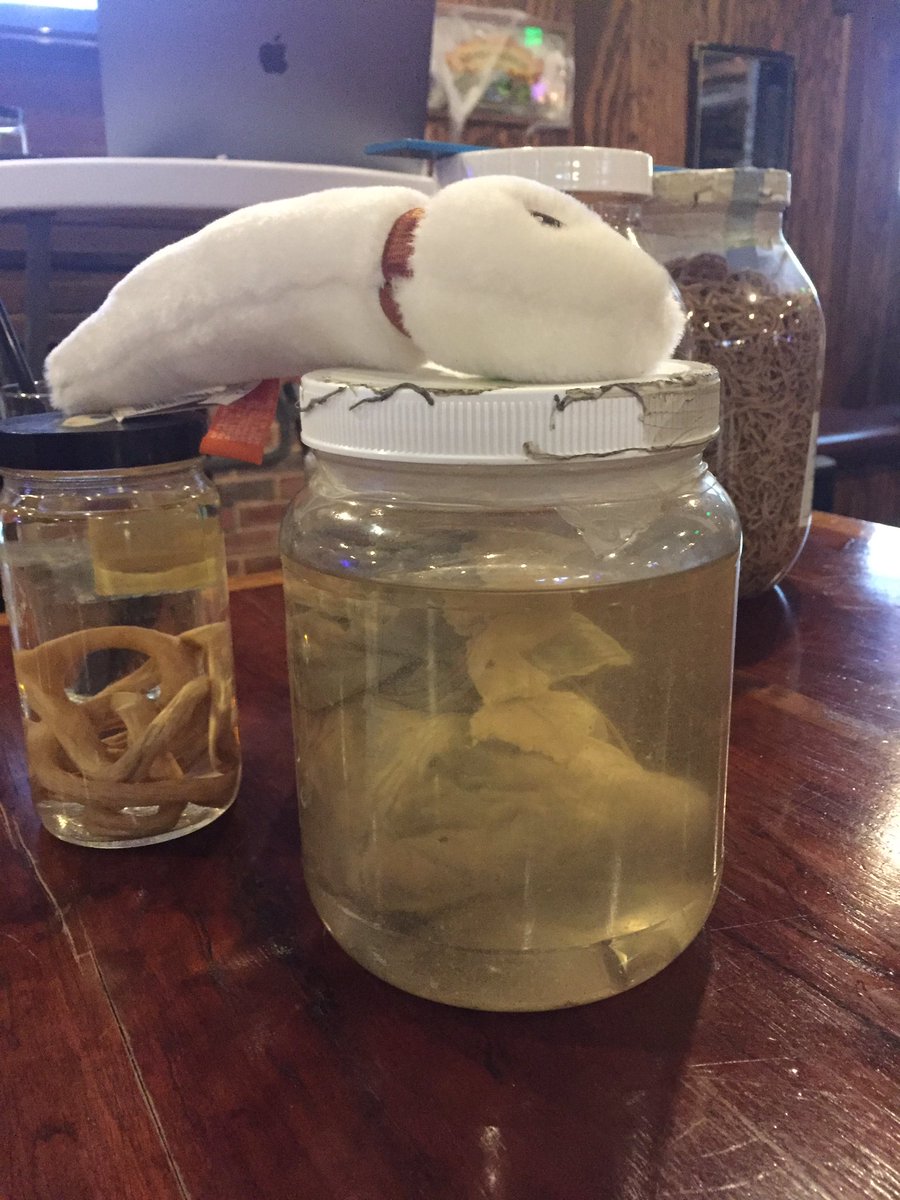SciCommDoggo's tweet photo. Take your #heartworm #medicine! Don't get an inflamed heart and end up in a #spooky jar @SciSays @CapSciComm #SacScienceDistilled https://t.co/kWssWRt5Kw