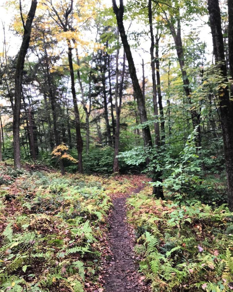 Missing the trails at #ragnartrailwawayanda 🏃🏻‍♀️🌲 ift.tt/2xPFBTg