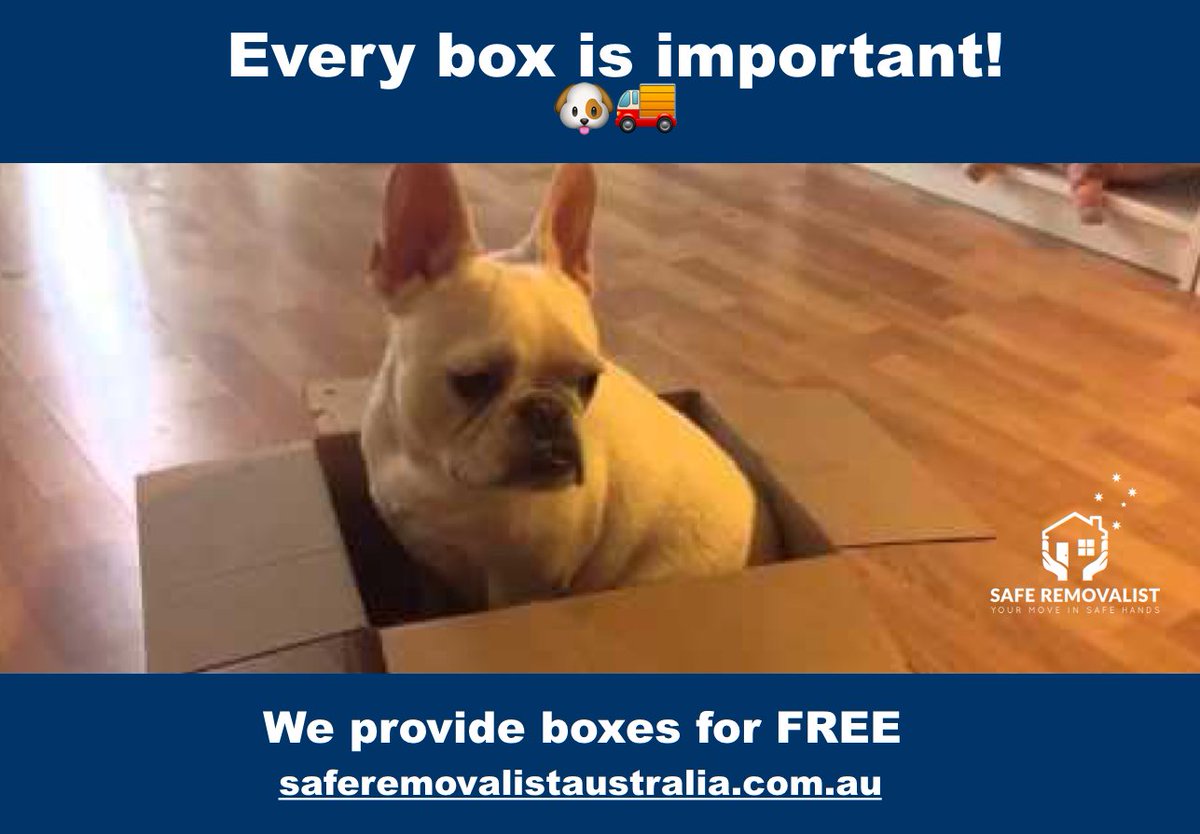 SafeRemovalistA's tweet photo. Every box is important! 🚚 📦 💪⠀⠀
https://t.co/GHYUfNQvkn⠀⠀⠀⠀
⠀⠀
#SafeRemovalistAustralia #MovingOut #sydney #sydneylife #sydneylocal https://t.co/IJevyUoQX0