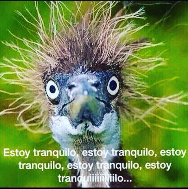 BoomYoga's tweet photo. I’m ok, I’m ok... this is how I feel about everything right now nowadays https://t.co/M5iRo1YVn3