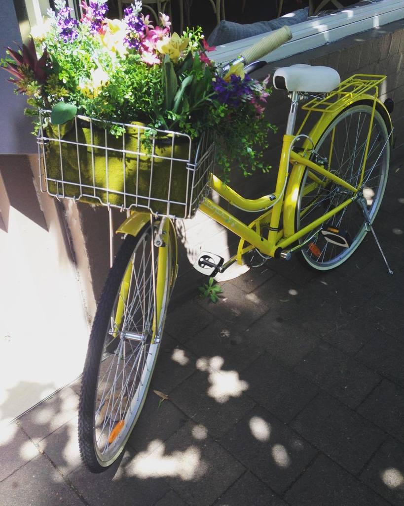 saragrafenauer's tweet photo. Just out walking with @felicitycurtain ... #bluespoint #ilovespring https://t.co/tDgtdFfW2R https://t.co/3mKANiBH4e