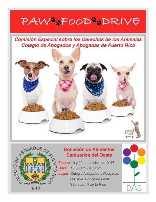 anedinter's tweet photo. Únete a esta iniciativa de la Comisión Especial sobre los Derechos de los Animales de nuestro @ColegioSiempre . #PuertoRicoSeLevanta https://t.co/nuUnW0bPoG
