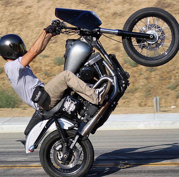 memshades's tweet photo. #WheelieWednesday w/ @joey_d34 ! 📸 @jenniferrochaa #SpeedKingsCycle #Dyna #RoadWarriorFairing https://t.co/CP1SFcrmAc