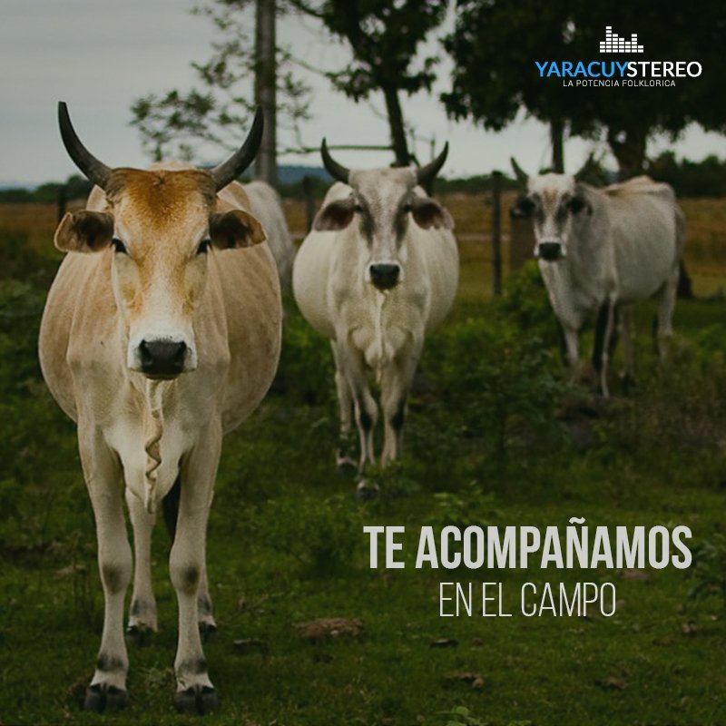 Continua nuestra programación con Anderson Fonseca y Llano Romance &amp; Folklore

♪ yaracuystereo.com.ve ♪