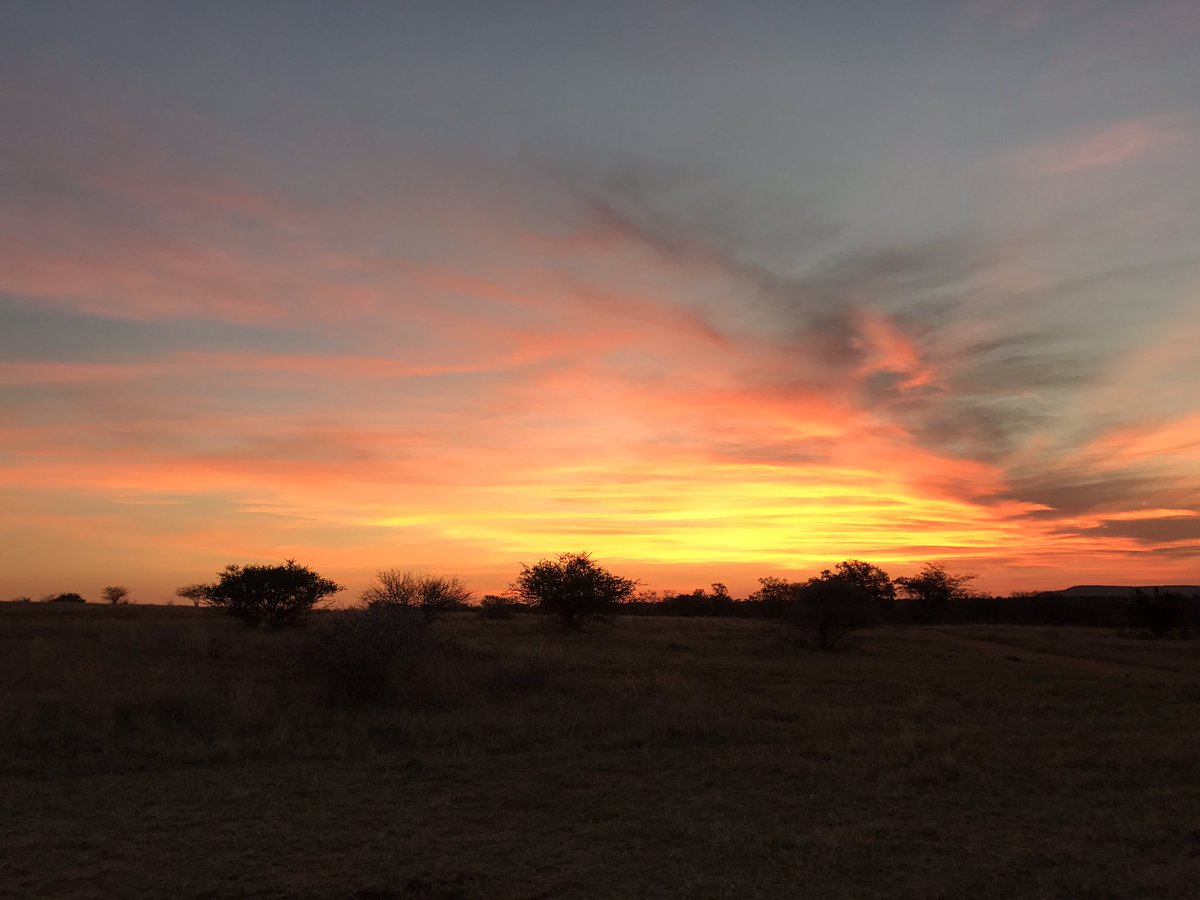 I've been bit by the Africa bug. 😍😍