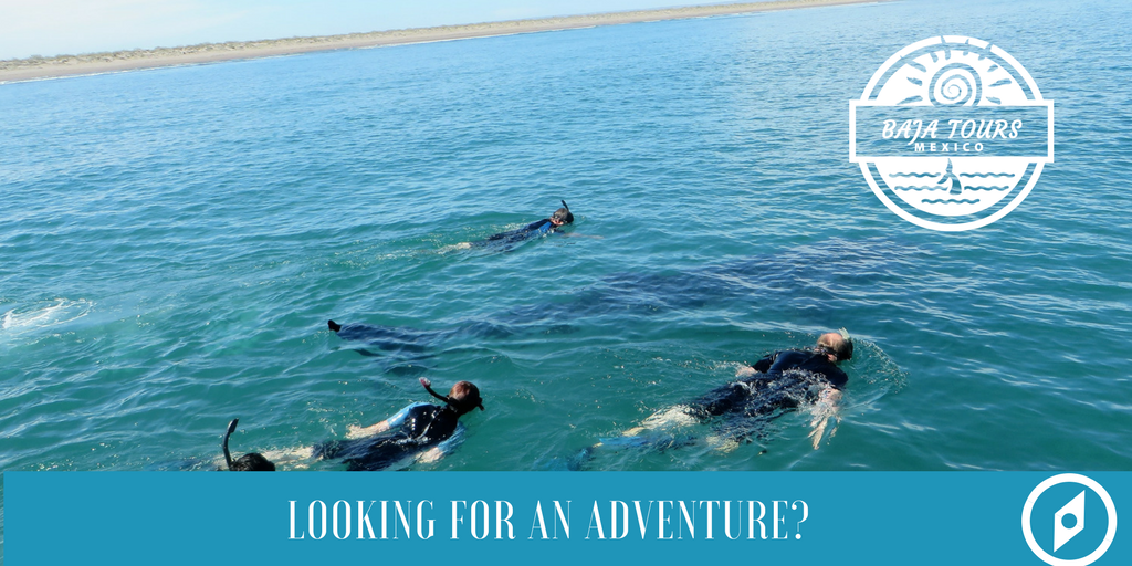 egg_studios's tweet photo. Looking for an adventure?? 
https://t.co/P8rT5cNHHe
 #adventure #travel #vacations #loscabos #mexico https://t.co/46WQDTS5CM