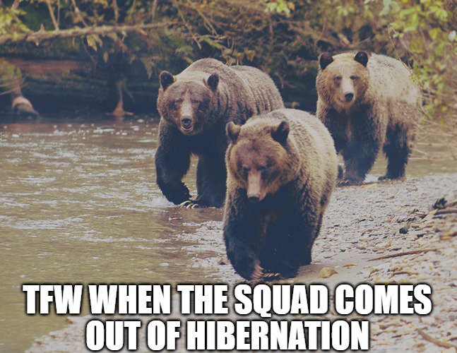 HoopCityHellCat's tweet photo. Grizzlies tip-off in <2 hours. Ready to get another season with @SharonShyBrown @brandondevin @1prettypearl @tabntex #FirstTeamAllHeart โค๏ธ๐โ https://t.co/OsYhGkd1hS