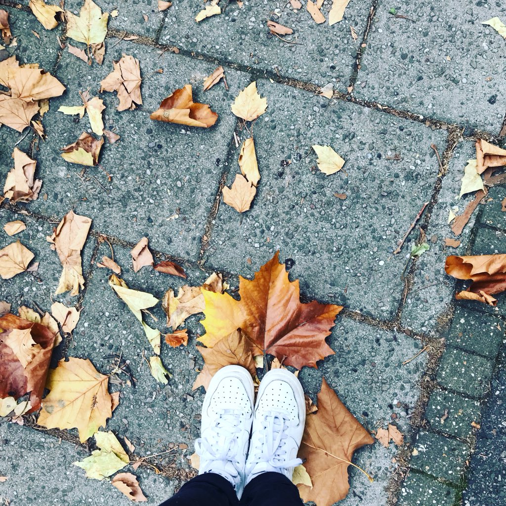 charthorrr's tweet photo. @readheadreader Took this for you this morning 🍁 https://t.co/yHnZ1FhKVx