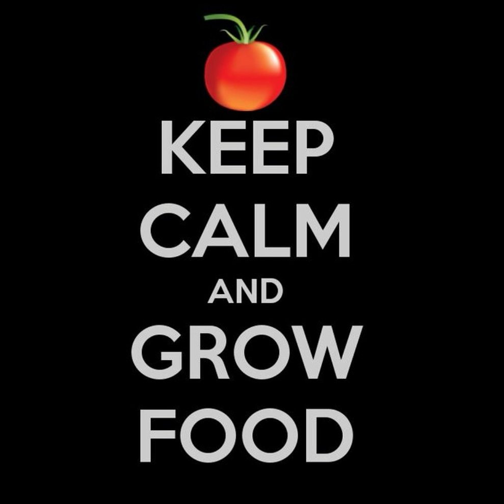 LocalFareJax's tweet photo. #keepcalmandeatlocal #localfarejax #eatlocal https://t.co/hvLIUaRTmd
