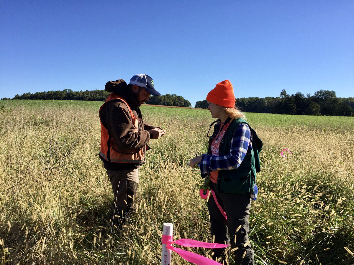 WildnoteApp's tweet image. Vegetation monitoring with Falling Springs LLC for our #WildWednesday! #wildnoteapp
