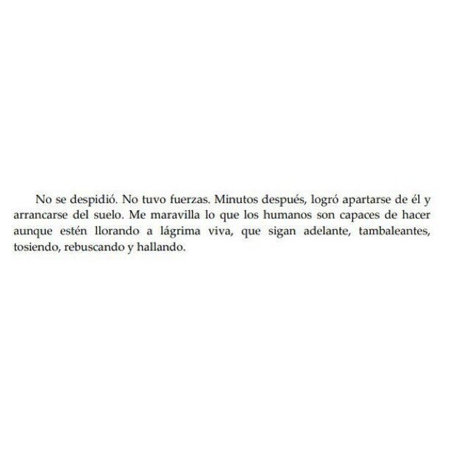 Cementedelibros's tweet photo. "Me maravilla lo que los humanos son capaces de hacer
aunque estén llorando a lágrima viva, que sigan adelante, tambaleantes,
tosiendo, rebuscando y hallando."
Libro: La Ladrona de Libros
Autor: Markus Zusak
#cementeriodelibros https://t.co/LFzEASJ4Lb