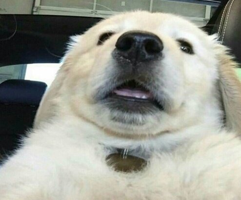 Cuando abrís la cámara frontal sin querer