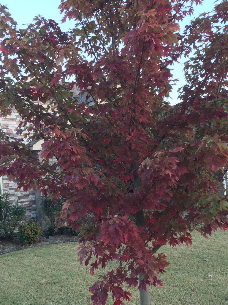 bret_bbrown's tweet photo. Fall is here https://t.co/AwoYveS12O