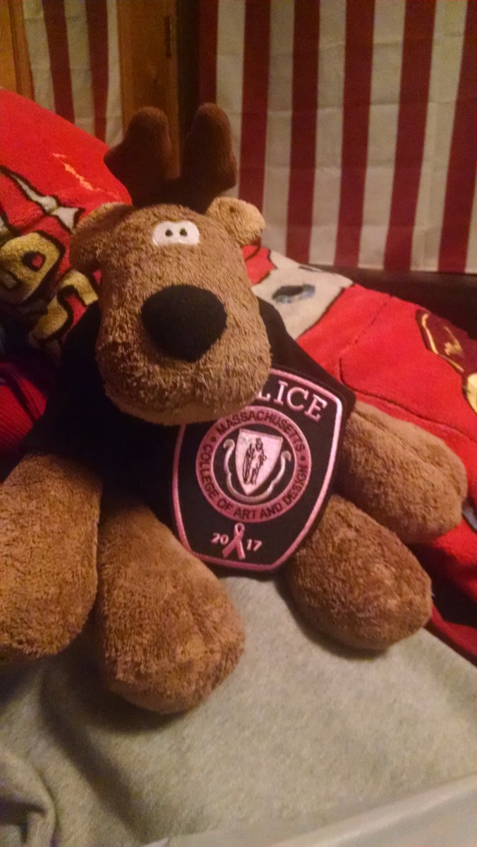 Shari_Weiner's tweet photo. @MassArtPolice #thanks for the expedite! #rufus is beyond thrilled! #PinkPatchProject #23 #questfor31 https://t.co/Q2BsIaq28m