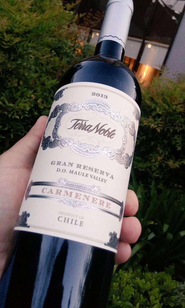 reinaldolivares's tweet photo. @TerraNobleWines en cenamaridaje #HotelDirector #PremiumBrands Cc @WinesofChile @cgonzalezrojas @IscoMatte @marcelogarciade @PjaramilloPedro https://t.co/g4kQngFtsy