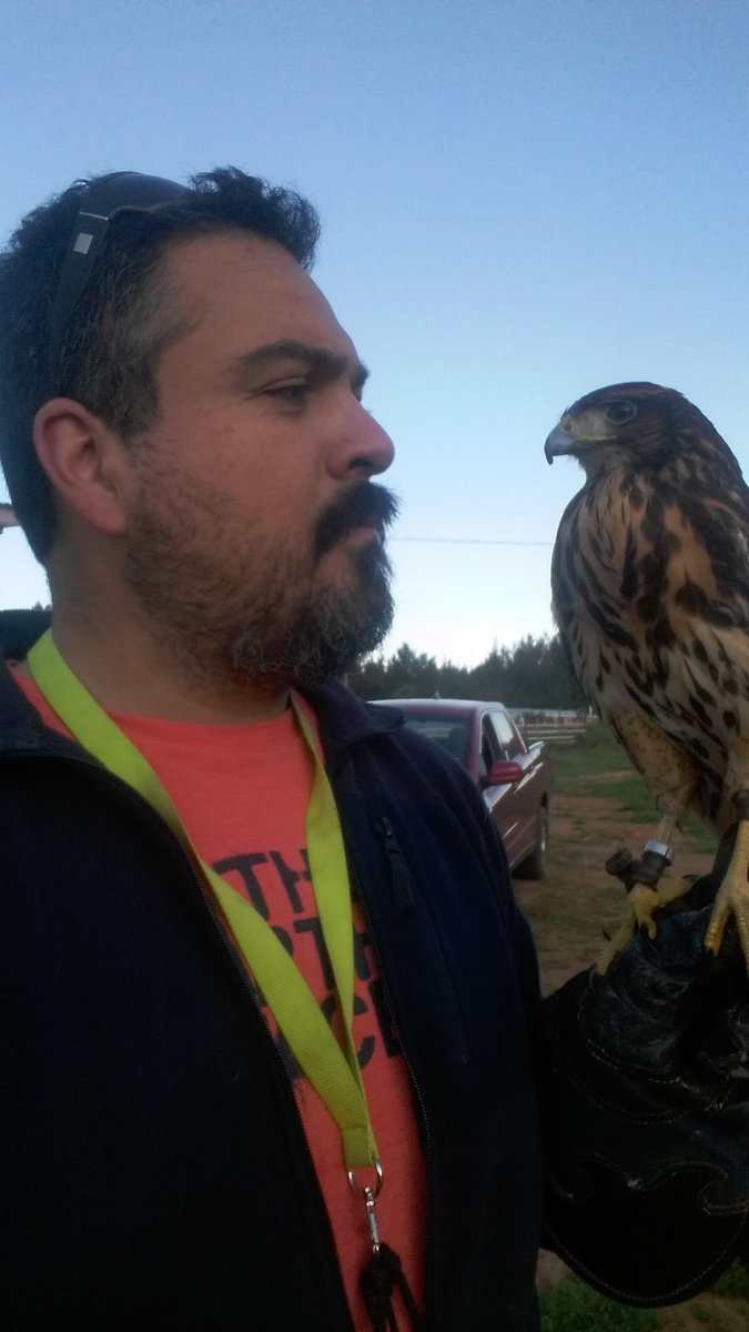 VicenteVicho's tweet photo. Las aves de mi Criadero de aves Rapaces del Maule Tabolguen, embajadoras de la Naturaleza
#noalamatanzadeavesrapacesenelcampo https://t.co/q4SBPYyqTr