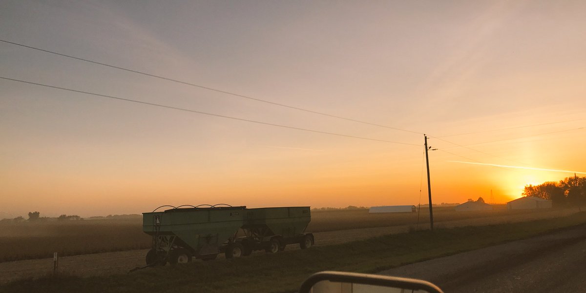 brettogle's tweet photo. Harvest time in Iowa 😍🙌🏻 https://t.co/X46RoZ1pRe