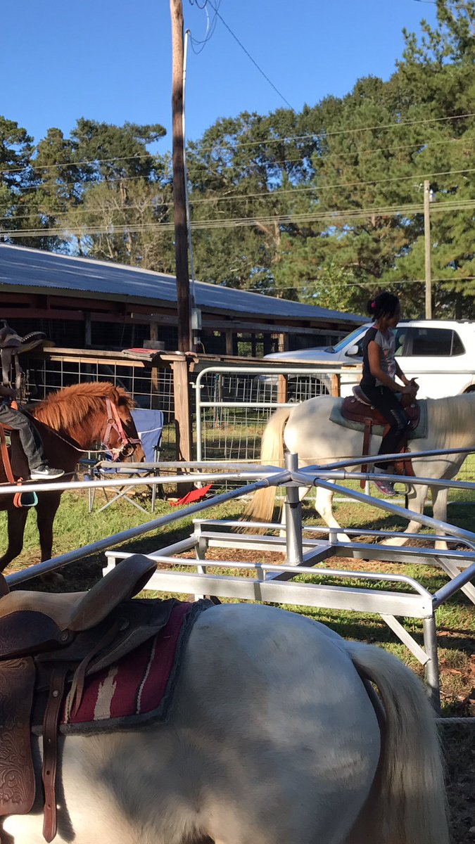 cocodivaslay's tweet photo. πππΎπ‘π .. @WildeYvette @Lindawa00768574 @Quenshonna #PonyRides #WhitePonySmokey #BrownPonyTriskey (yup those are their real names π) #Fair2017 https://t.co/wINkiSKTM2
