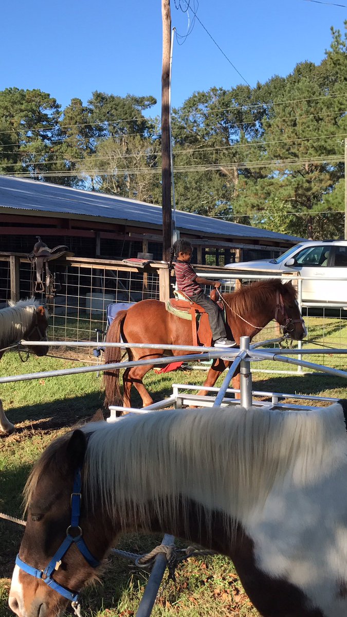 cocodivaslay's tweet photo. πππΎπ‘π .. @WildeYvette @Lindawa00768574 @Quenshonna #PonyRides #WhitePonySmokey #BrownPonyTriskey (yup those are their real names π) #Fair2017 https://t.co/wINkiSKTM2