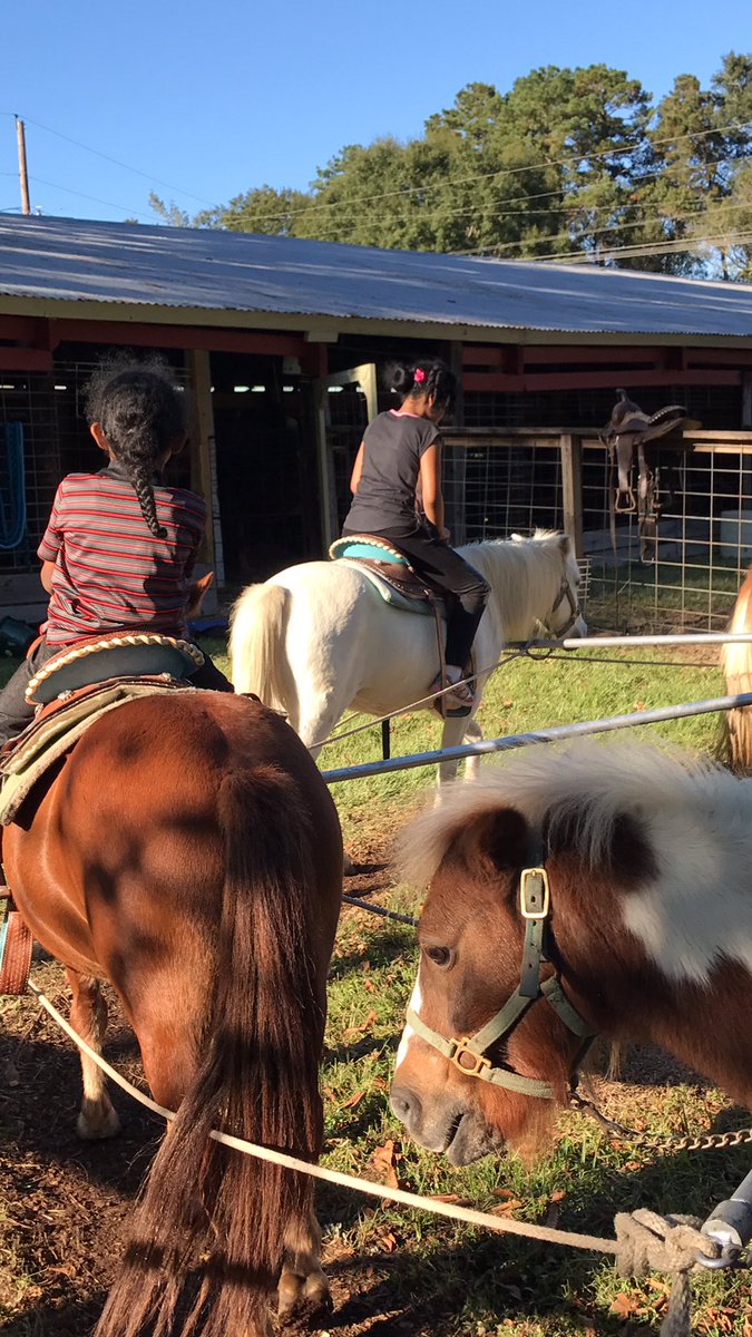 cocodivaslay's tweet photo. πππΎπ‘π .. @WildeYvette @Lindawa00768574 @Quenshonna #PonyRides #WhitePonySmokey #BrownPonyTriskey (yup those are their real names π) #Fair2017 https://t.co/wINkiSKTM2