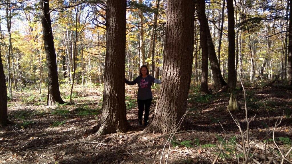 memyselfpauline's tweet photo. Nature is fuel for the soul #gettinglostinnature #Muskoka #fallcolours #myhappyplace #fuelforthesoul https://t.co/1C04ZsZv6H