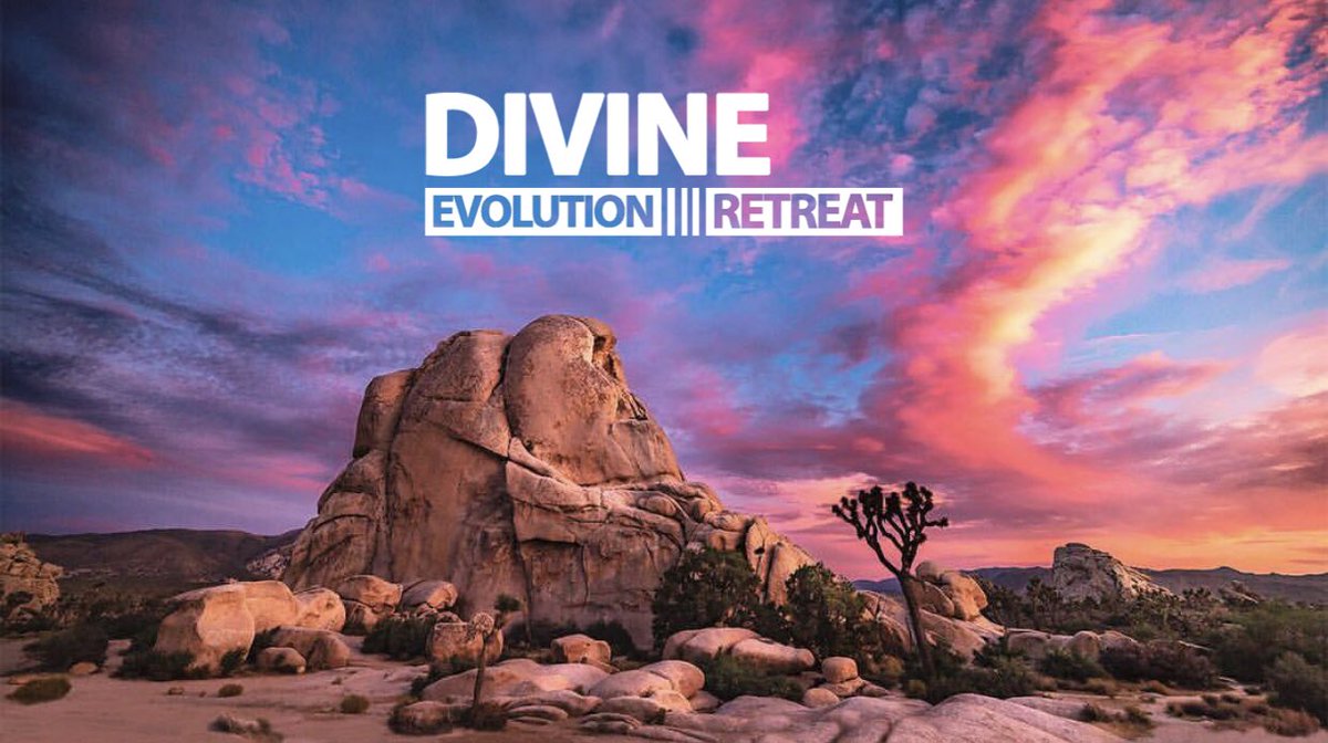 thedivinemvmnt's tweet photo. We can’t wait to disconnect under the stars in #JoshuaTree⛺️🌌 Join us for our #DivineEvolution Retreat, Nov. 9-12 ➡️ https://t.co/PFmGy0f6Y8 https://t.co/KLW4uIYft5