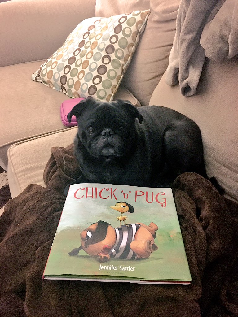 TuckerThePug's tweet photo. @HamiltonPug A5: I like to research the best option- a good go to is Chick &amp; Pug. #pugchat #pugreads https://t.co/KIfCHSJG9i